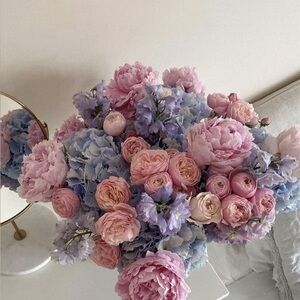 Meet your Posher, Elizabeth